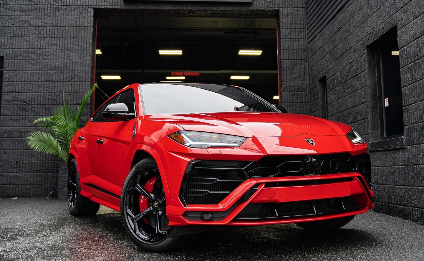 illmatic_wraps_1630188128_2650532588650146843_616526931